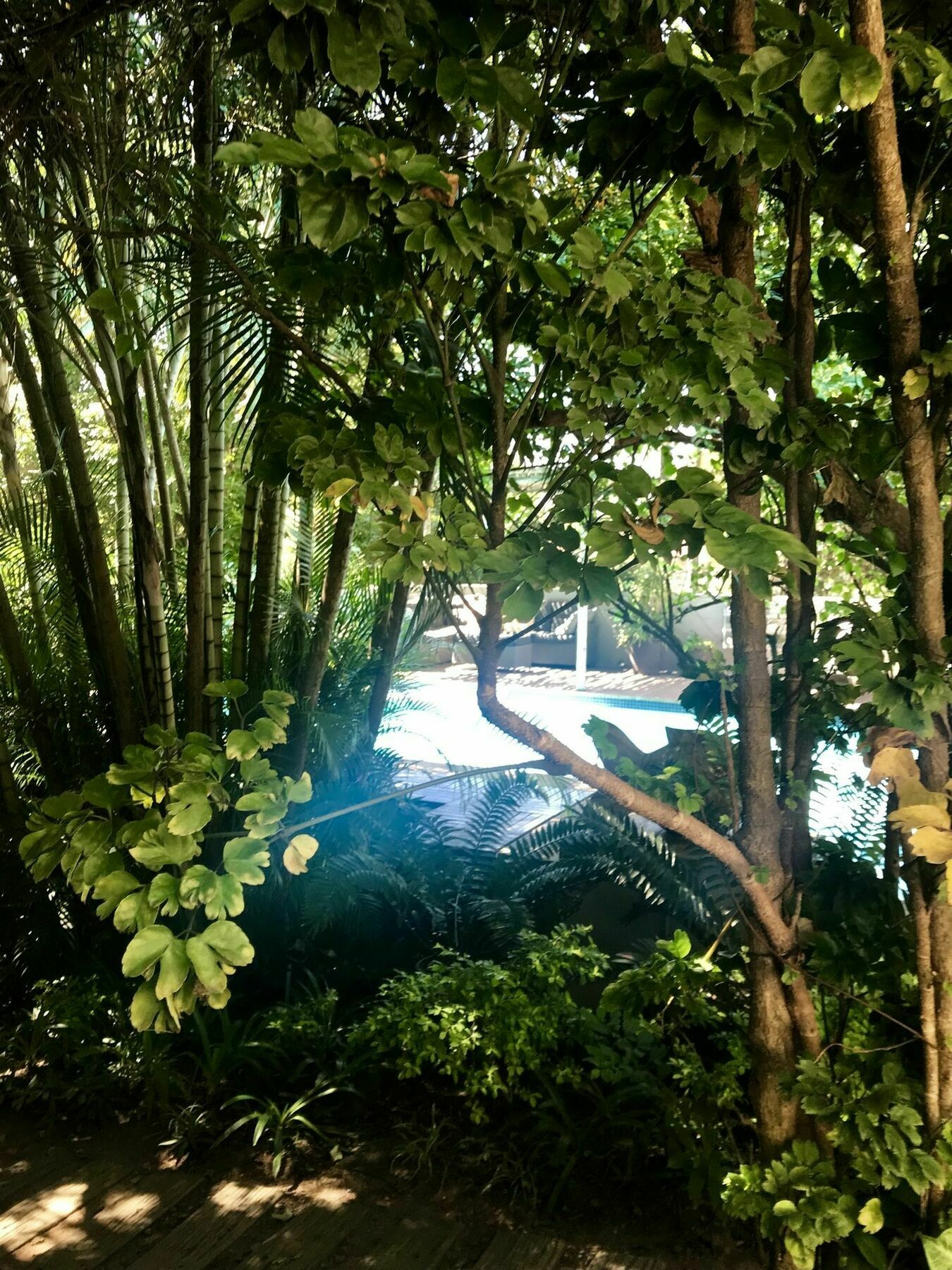 Beach Forest Lodge Ballito Exteriör bild